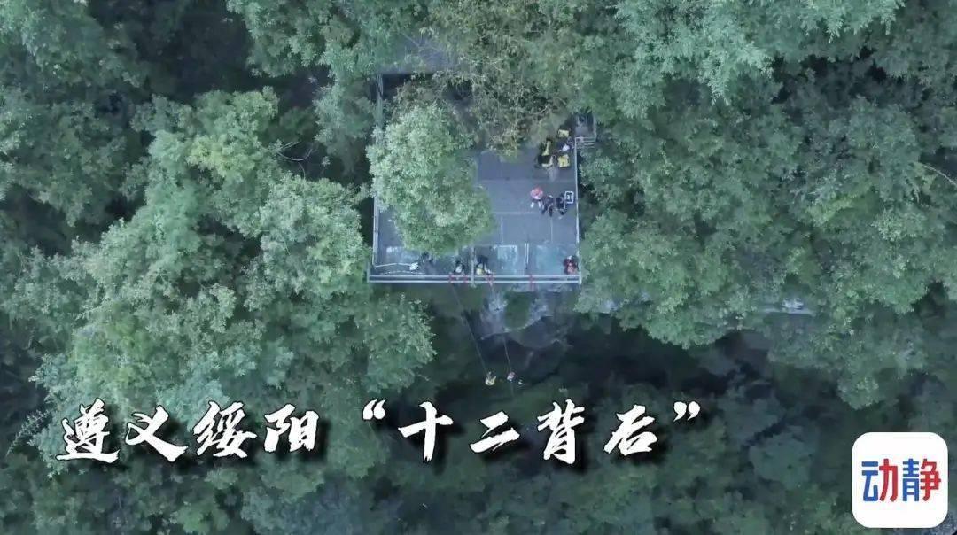 国资委最新发声!