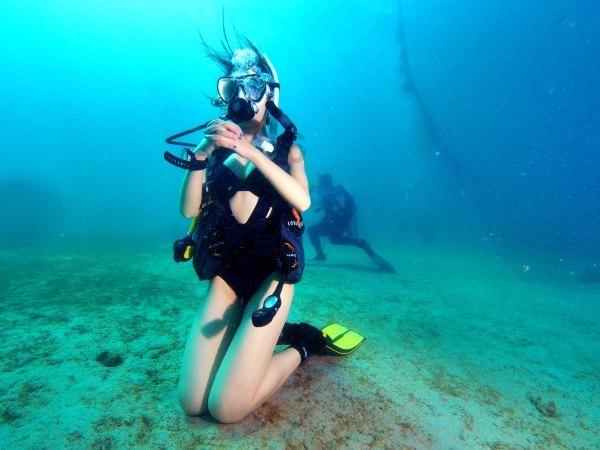 丰田海狮9座报价-海狮图片基本参数