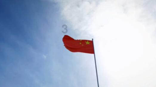 五彩鹦鹉救援