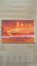 清清浅浅清清浅浅